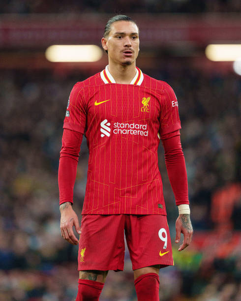 哈兰德在瓜 哈兰德在瓜